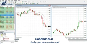 اجزا-و-ساختار-یک-اکسپرت-سهام-استاندارد